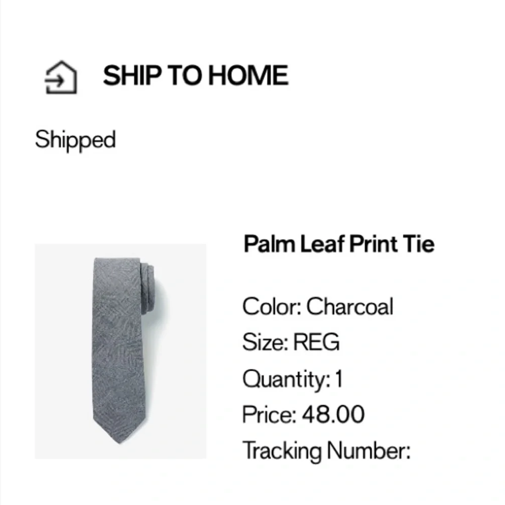 Express Men’s Palm Leaf Tie in Charcoal Gray